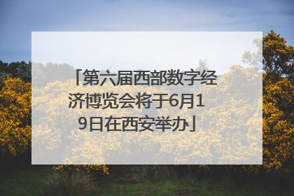 第六届西部数字经济博览会将于6月19日在西安举办