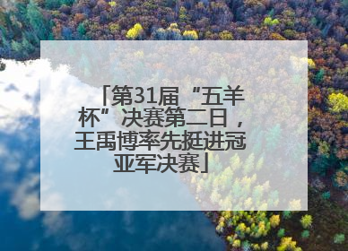 第31届“五羊杯”决赛第二日，王禹博率先挺进冠亚军决赛