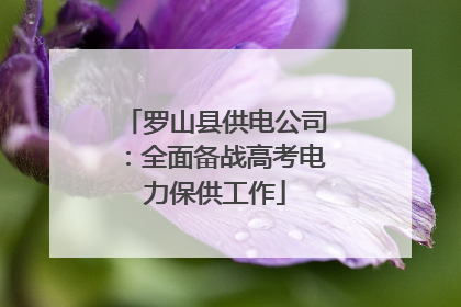 罗山县供电公司：全面备战高考电力保供工作