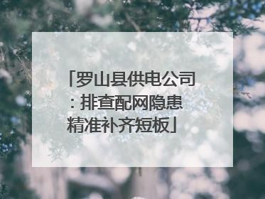 罗山县供电公司：排查配网隐患 精准补齐短板