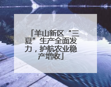 羊山新区“三夏”生产全面发力，护航农业稳产增收