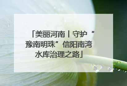 美丽河南丨守护“豫南明珠”信阳南湾水库治理之路
