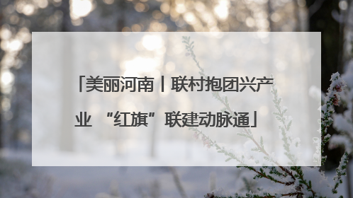 美丽河南丨联村抱团兴产业 “红旗”联建动脉通
