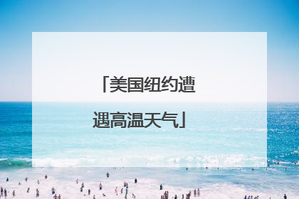美国纽约遭遇高温天气