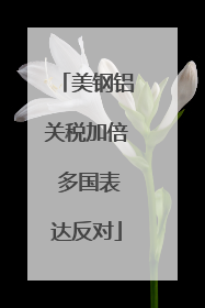 美钢铝关税加倍 多国表达反对