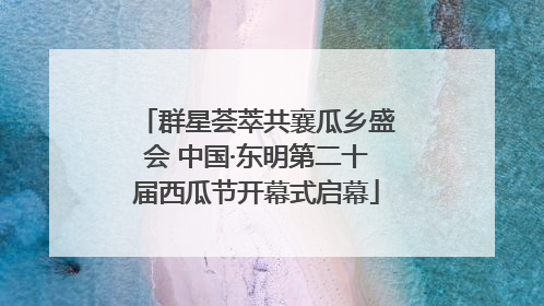 群星荟萃共襄瓜乡盛会 中国·东明第二十届西瓜节开幕式启幕
