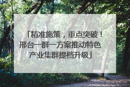 精准施策，重点突破！邢台一群一方案推动特色产业集群提档升级