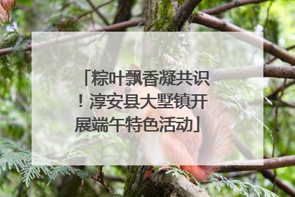 粽叶飘香凝共识！淳安县大墅镇开展端午特色活动