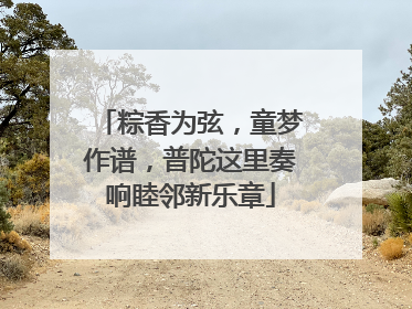 粽香为弦，童梦作谱，普陀这里奏响睦邻新乐章