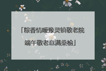 粽香情暖豫灵镇敬老院 端午敬老意满桑榆