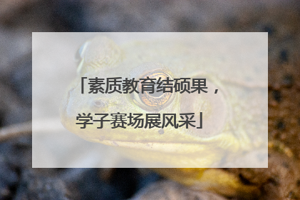 素质教育结硕果，学子赛场展风采