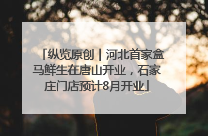 纵览原创｜河北首家盒马鲜生在唐山开业，石家庄门店预计8月开业