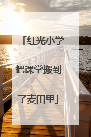 红光小学把课堂搬到了麦田里