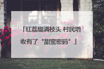 红荔缀满枝头 村民增收有了“甜蜜密码”