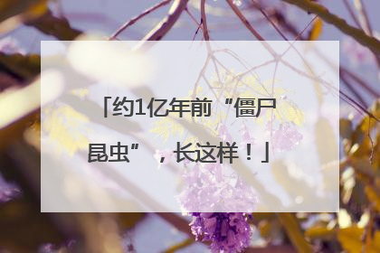 约1亿年前“僵尸昆虫”，长这样！