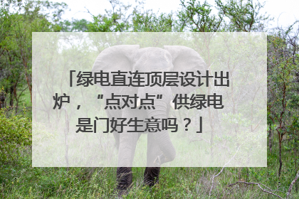 绿电直连顶层设计出炉，“点对点”供绿电是门好生意吗？