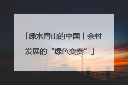 绿水青山的中国丨余村发展的“绿色变奏”