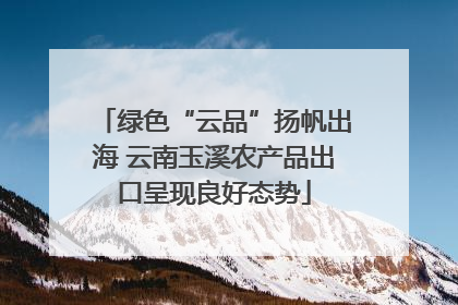 绿色“云品”扬帆出海 云南玉溪农产品出口呈现良好态势