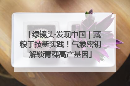 绿镜头·发现中国｜藏粮于技新实践！气象密钥解锁青稞高产基因