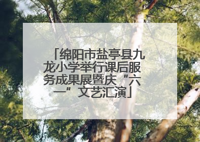 绵阳市盐亭县九龙小学举行课后服务成果展暨庆“六一”文艺汇演