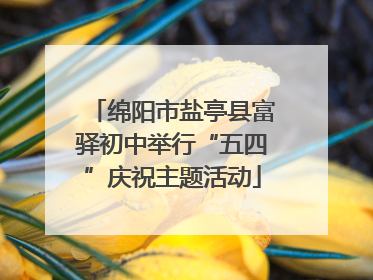 绵阳市盐亭县富驿初中举行“五四”庆祝主题活动
