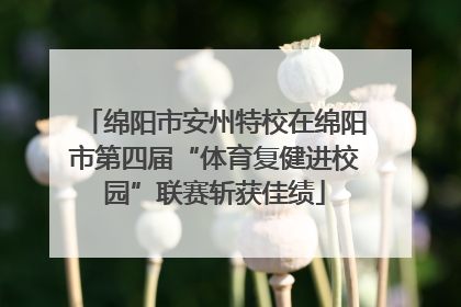 绵阳市安州特校在绵阳市第四届“体育复健进校园”联赛斩获佳绩