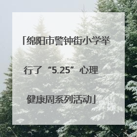 绵阳市警钟街小学举行了“5.25”心理健康周系列活动