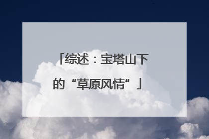 综述：宝塔山下的“草原风情”