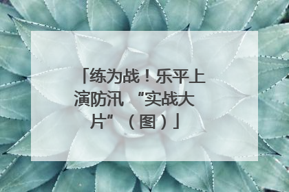 练为战！乐平上演防汛 “实战大片”（图）