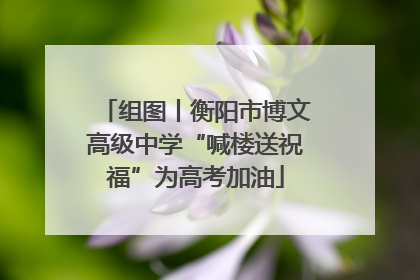 组图丨衡阳市博文高级中学“喊楼送祝福”为高考加油