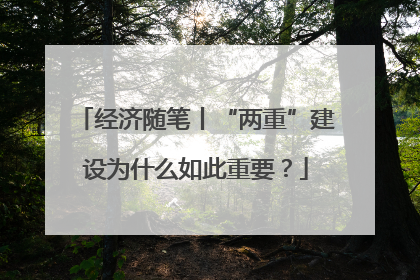 经济随笔丨“两重”建设为什么如此重要？