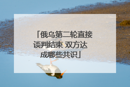 俄乌第二轮直接谈判结束 双方达成哪些共识