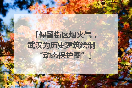 保留街区烟火气，武汉为历史建筑绘制“动态保护图”