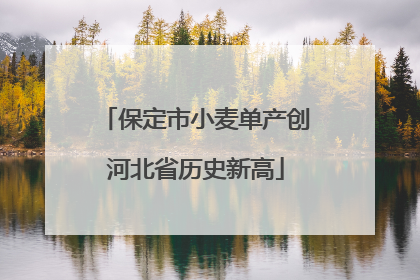 保定市小麦单产创河北省历史新高