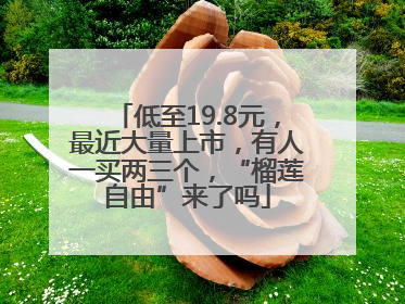 低至19.8元，最近大量上市，有人一买两三个，“榴莲自由”来了吗