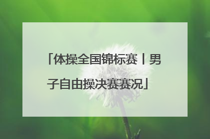 体操全国锦标赛丨男子自由操决赛赛况