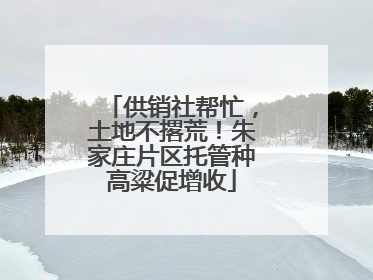 供销社帮忙，土地不撂荒！朱家庄片区托管种高粱促增收