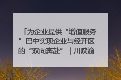 为企业提供“增值服务”巴中实现企业与经开区的“双向奔赴”｜川陕渝网络名人巴中行