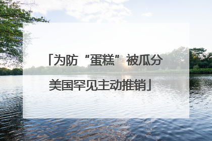 为防“蛋糕”被瓜分 美国罕见主动推销