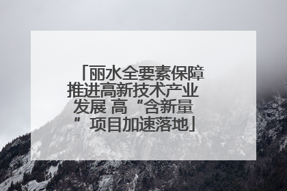 丽水全要素保障推进高新技术产业发展 高“含新量”项目加速落地