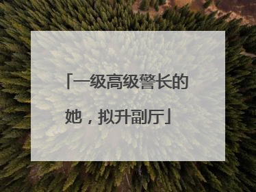 一级高级警长的她，拟升副厅