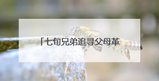 七旬兄弟追寻父母革命足迹 向阳新县档案馆捐赠珍贵史料