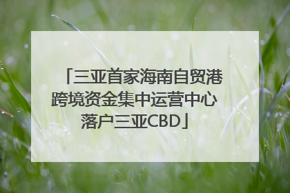 三亚首家海南自贸港跨境资金集中运营中心落户三亚CBD