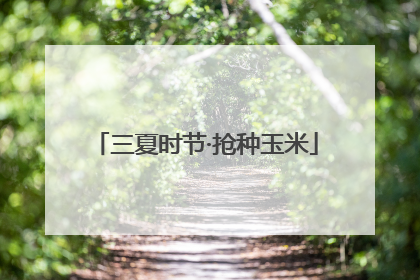 三夏时节·抢种玉米