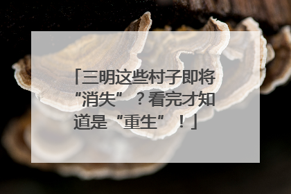 三明这些村子即将“消失”？看完才知道是“重生”！