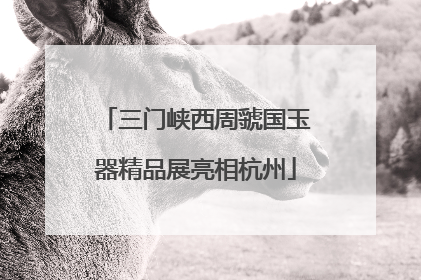 三门峡西周虢国玉器精品展亮相杭州