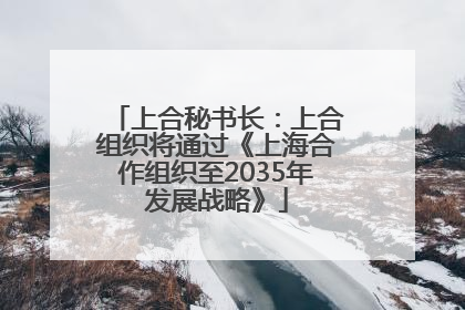 上合秘书长：上合组织将通过《上海合作组织至2035年发展战略》