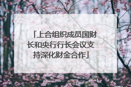 上合组织成员国财长和央行行长会议支持深化财金合作