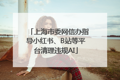 上海市委网信办指导小红书、B站等平台清理违规AI