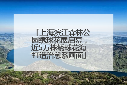 上海滨江森林公园绣球花展启幕，近5万株绣球花海打造治愈系画面